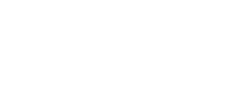 לוגו Resilience D